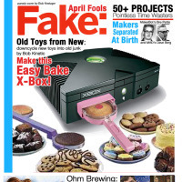 FAKE cover
