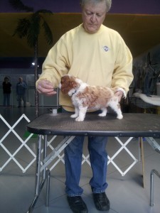Eight Wks