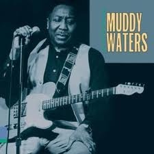 muddywaters2