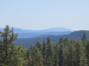 view