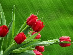 april_showers-normal