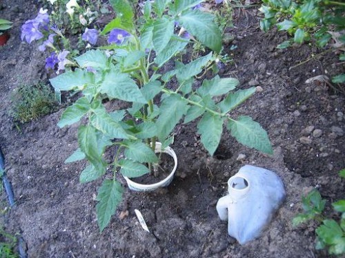Earth Day Repurposing 101: Don't Throw That Away! via lifeyourway.net
