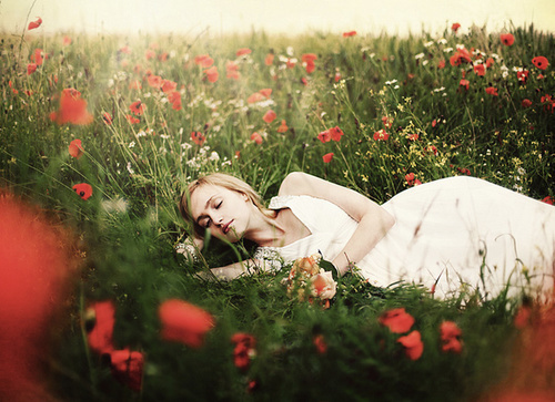 Photo by Rosie Hardy