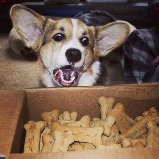 best-photos-funny-63