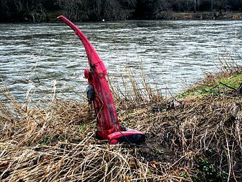 English: Spring Cleaning on the River Teviot T...