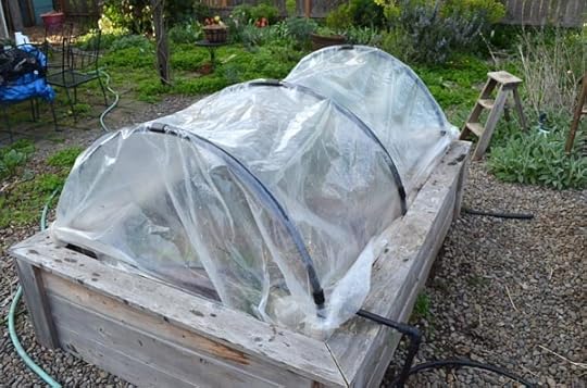 spring-row-covers