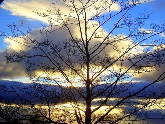 4405447_32b0614f95_z