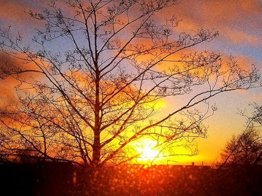 4405446_8c17935e3e_z