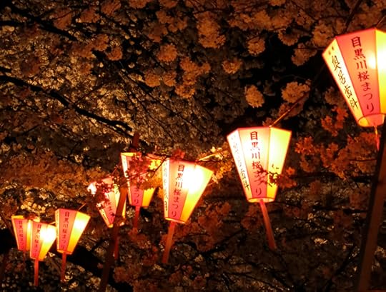 Lanterns are strung in the trees all along the Meguro River.