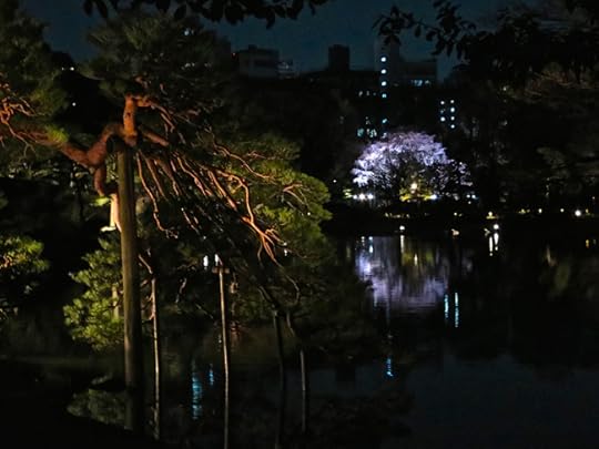 The Famous Cherry, seen across the pond from The Famous Pine.