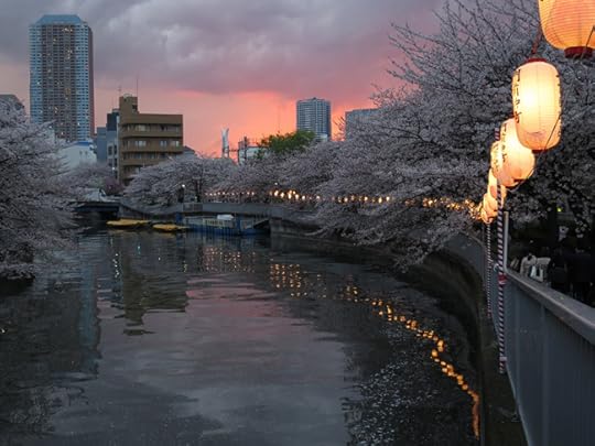Lanterns line the path along the nicely narrow river near Monzen Nakacho station.