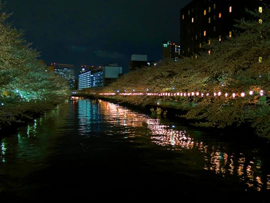 Further along the river, cherry trees spill over both sides of the banks.