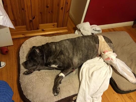  photo Rocco_zpsf36ea2a1.jpg