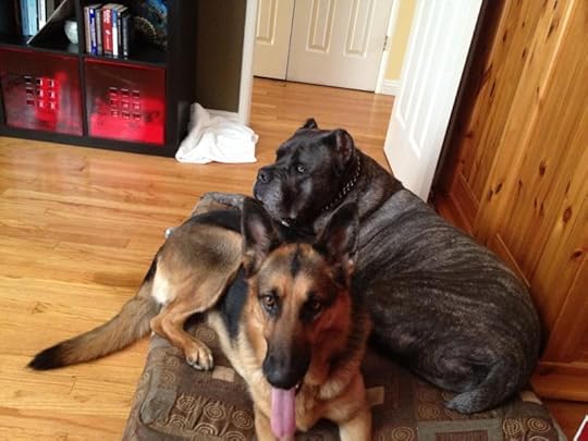 photo IMG_0493_zps7842579e.jpg