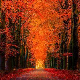 1a0a7df59eccb97c20a8bc17db44d5e9