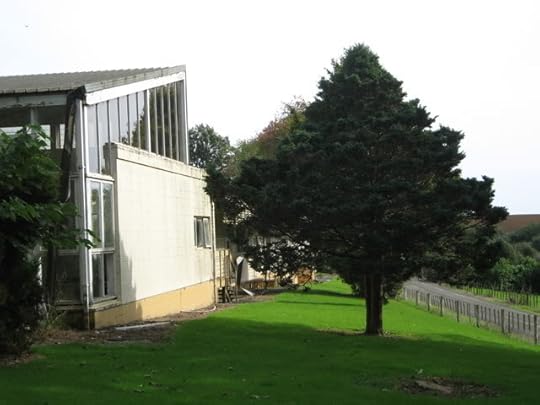 school library photo: The front of the library Tauihuiii.jpg