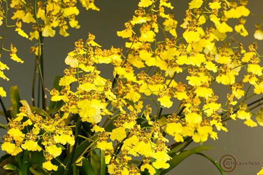 Look at this FLORIFEROUS beauty!!!