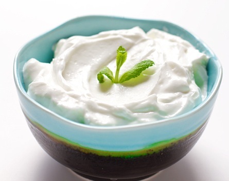 yogurt1