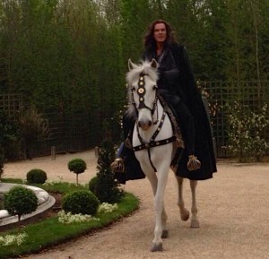 Pierce Brosnan as Louis XIV