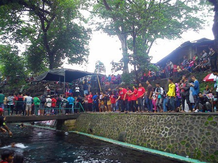 Dangdut koplo