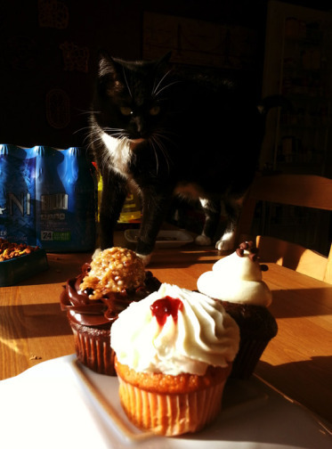 Remmi and Cupcakes!