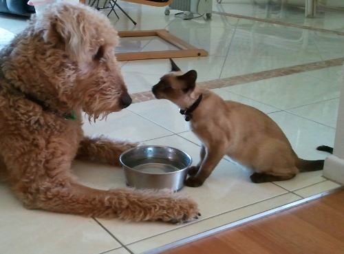 Bertie and Minsky