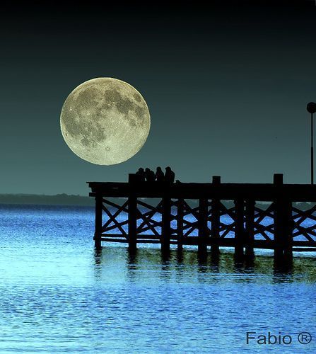 MOON DOCK