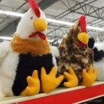 Chicks3_2