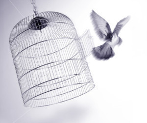 formerly caged