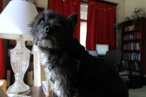 Macalester, or Mac for short.