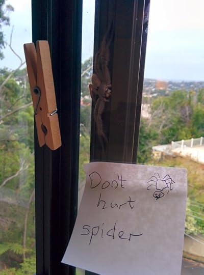 A huntsman spider