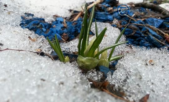 Look a flower bud in the base!!