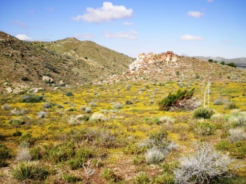 goldfield
