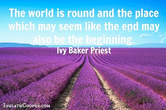 Lavender flower blooming fields endless rows. Valensole provence