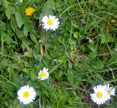 2014-04-02_14-40-51_635