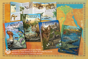 738253_240532766078876_548938964_o1