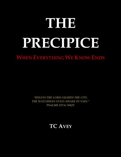 THE PRECIPICE_Cover