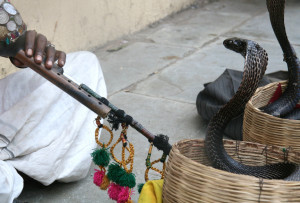 sound-design-live-learn-language-get-job-five-times-faster