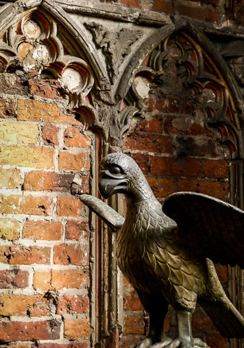 Malbork Eagle