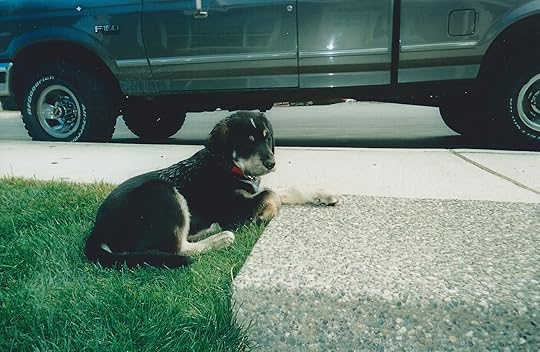 SCAN0341.JPG