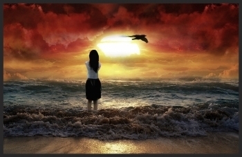  photo 29f2fa1d-216c-4704-a435-c58e32d6f181_zps58951886.jpg