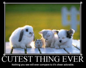 Cutest_thing_ever_zps6af55ab1