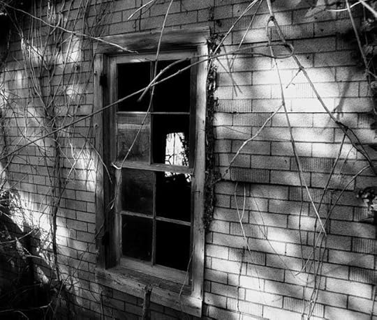 house-window-bw-web