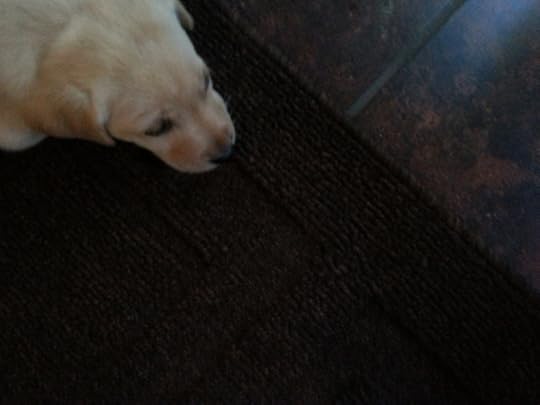 2014-04-03 17.16.49-1