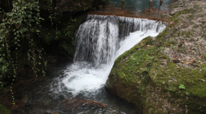 Reminded me of the scenery in my home state of North Carolina.