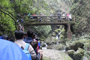 We were in crowds like this most of the way up. Chinese holidays bring out the people!