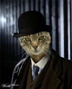 catinahat