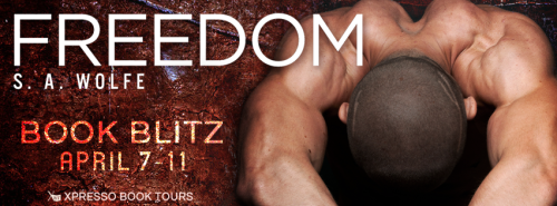 FreedomBlitzBanner