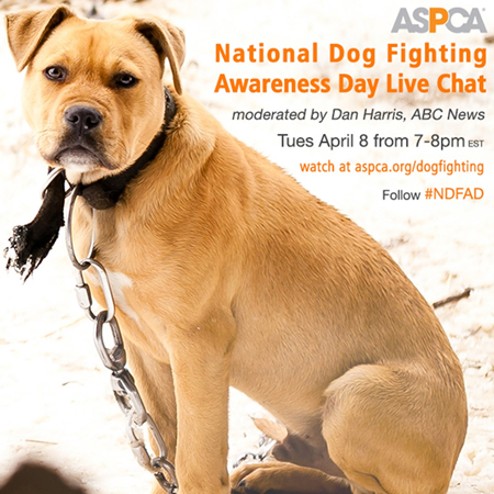 DogFightAwareness-ASPCA