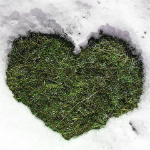 a heart of grass in the snow
